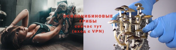 твердый Алексин
