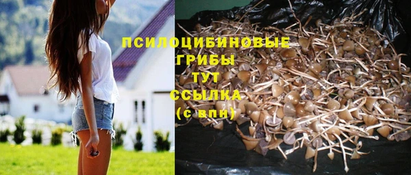 твердый Алексин