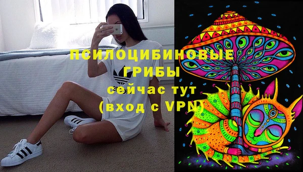 твердый Алексин
