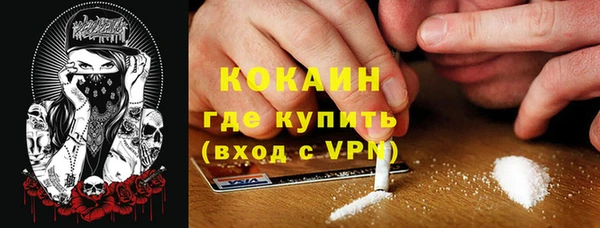 твердый Алексин