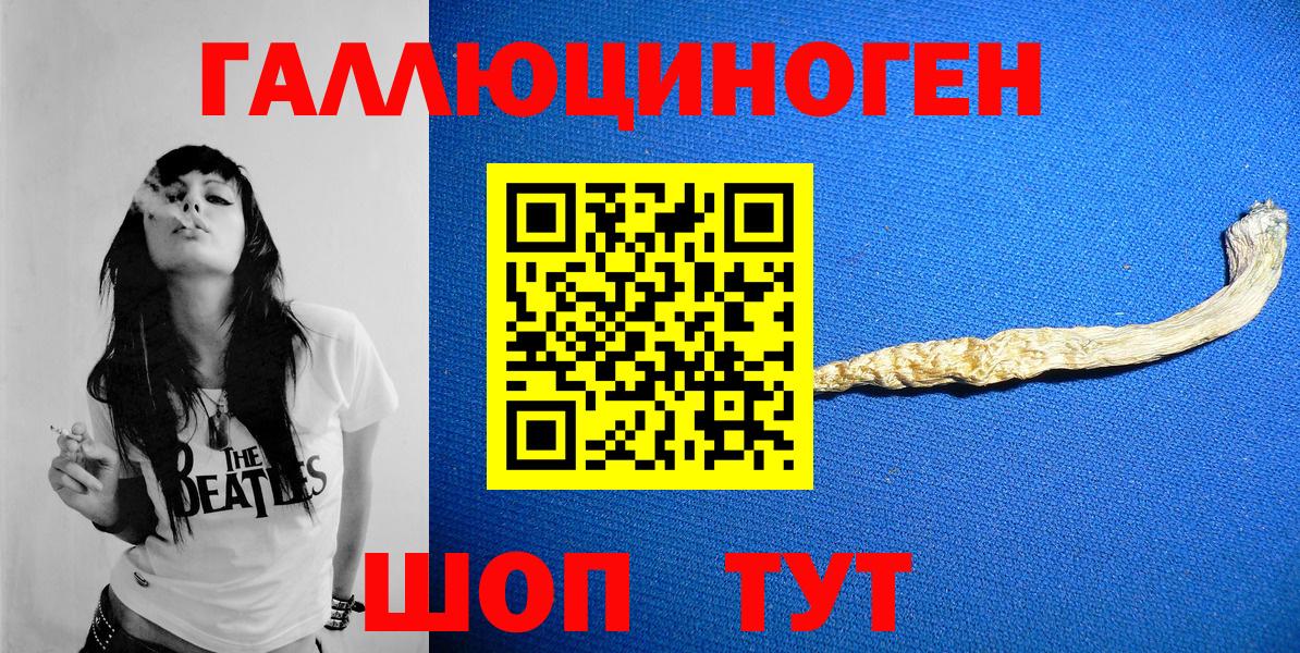 Псилоцибиновые грибы Psilocybine cubensis Уссурийск